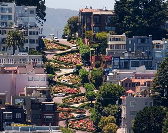 Lombard Street. Сан-Франциско