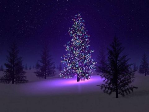 Новый год в Башкирии от Софи Тур